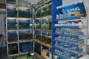 KERONEA ACQUARI SRL