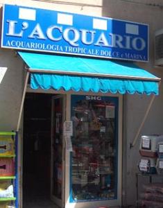 L'ACQUARIO
