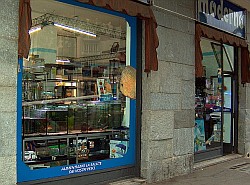 ACQUARIO MODERNO