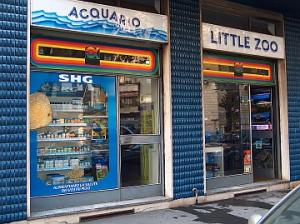 LITTLE ZOO