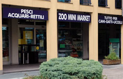 ZOOMINIMARKET