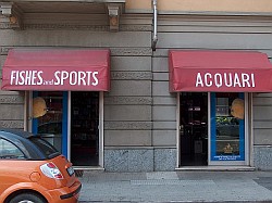 FISHES & SPORTS