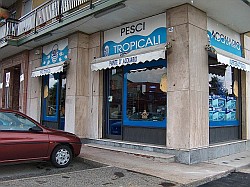 ACQUARIODISCOUNT