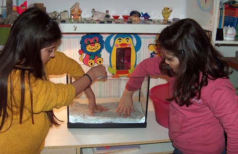 allestimento acquario.jpg