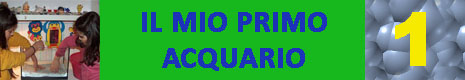 il mio primo acquario 1.jpg