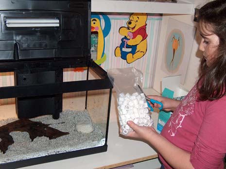 un acquario per bambini.jpg