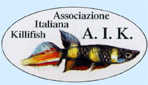 logo-aik.jpg