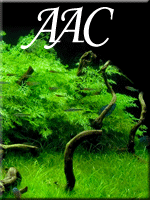 aac10_1.gif