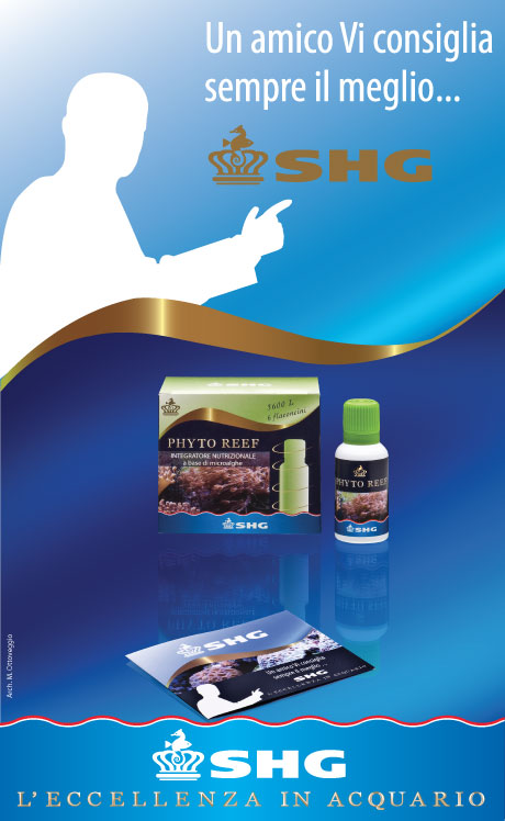 banner-astucci3.jpg