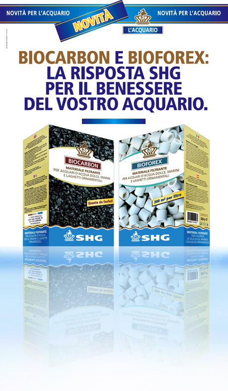 Novit�: Biocarbon e Bioforex