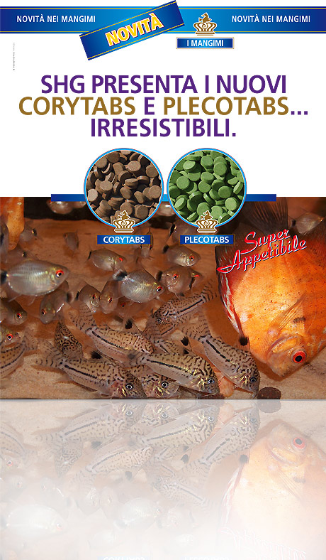 Nuovi Corytabs e Plecotabs