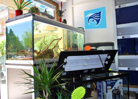 acquariando-vetrina.jpg