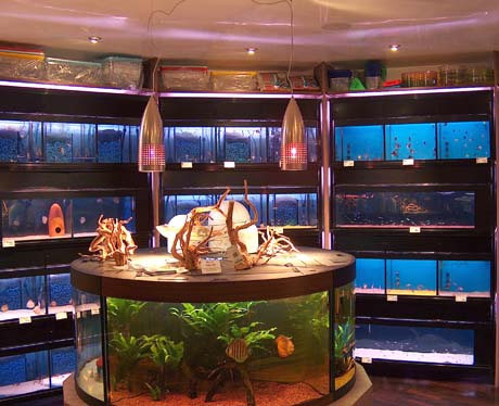 acquario e dintorni_1.jpg