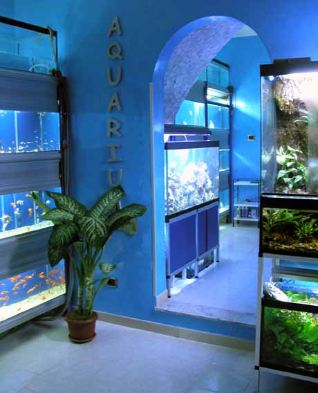 aquarium pt01.jpg