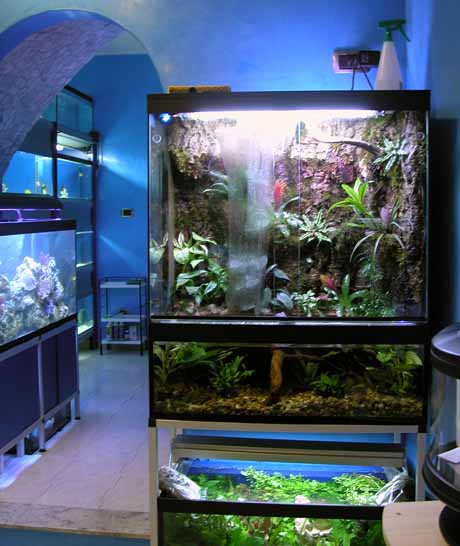 aquarium pt02.jpg