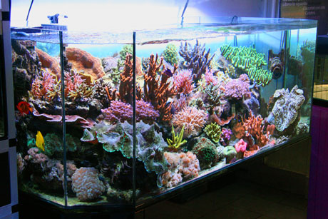 aquarium zone_01.jpg