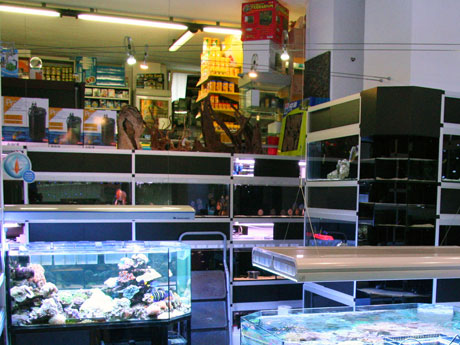 aquarium-zone_02.jpg