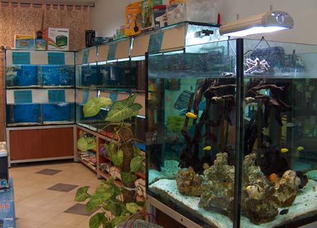 baia nemo_2.jpg