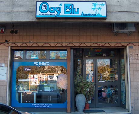 oasi blu.jpg