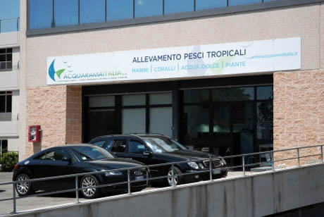 punto 2.jpg