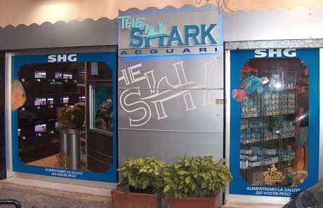 the shark_castellamare.jpg