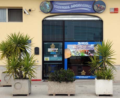 tropical acquarium.jpg