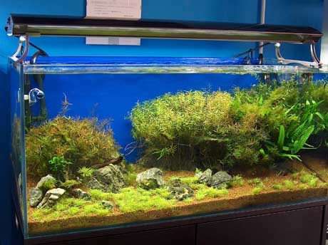 zoo acquario_2.jpg