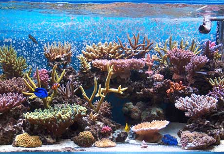 zoo acquario_3.jpg