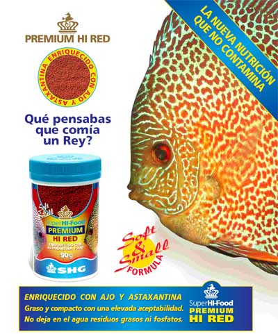 shg comida hi red.jpg