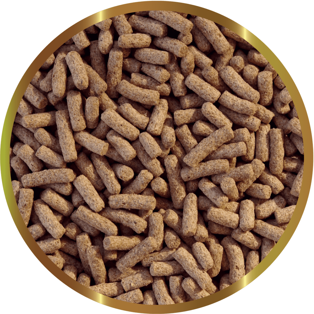 mangime gammarus stick per tartarughe d'acqua